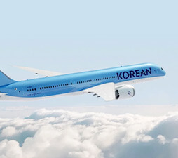 대한항공<br>이용